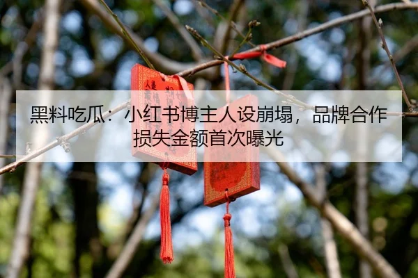 黑料吃瓜：小红书博主人设崩塌，品牌合作损失金额首次曝光